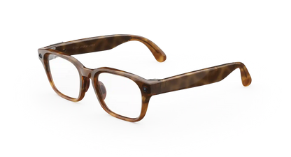 Meta Glasses Adventurer 2026 Standard Large / Adjustable Bridge / Clear Polarized Transitions lenses