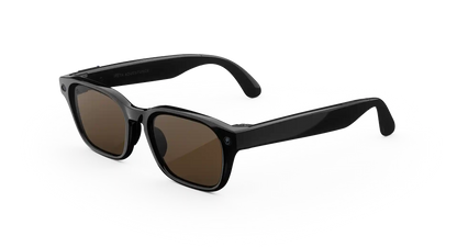 Meta Glasses Adventurer 2026 Standard Large / Adjustable Bridge / Clear Polarized Transitions lenses