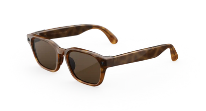 Meta Glasses Adventurer 2026 Standard Large / Adjustable Bridge / Clear Polarized Transitions lenses