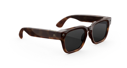 Meta Glasses Fury 2026 Standard / Adjustable Bridge / Clear Polarized Transitions lenses