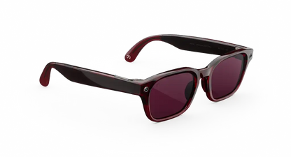 Meta Glasses Adventurer 2026 Standard Large / Adjustable Bridge / Clear Polarized Transitions lenses