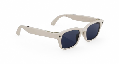 Meta Glasses Adventurer 2026 Standard Large / Adjustable Bridge / Clear Polarized Transitions lenses